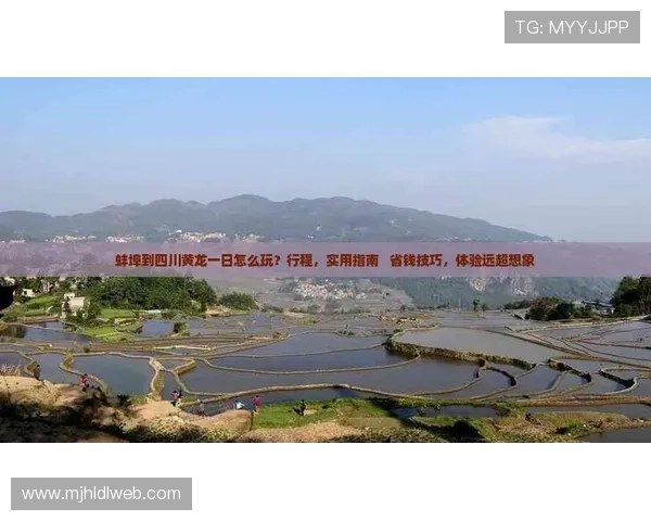 PG体育游戏app如何提升用户体验，专业建议与实用技巧助你玩得更尽兴